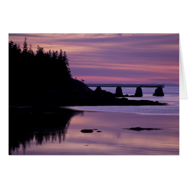 North America, US, ME, Isle Au Haut. Duck (Front Horizontal)