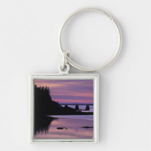 North America, US, ME, Isle Au Haut. Duck Keychain