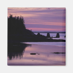 North America, US, ME, Isle Au Haut. Duck Magnet