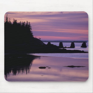 North America, US, ME, Isle Au Haut. Duck Mouse Pad