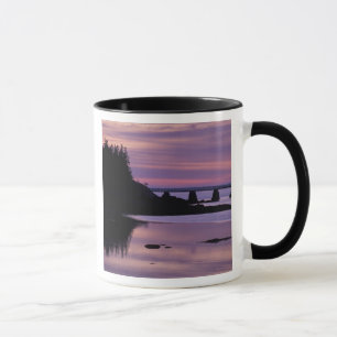 North America, US, ME, Isle Au Haut. Duck Mug