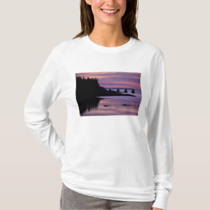 North America, US, ME, Isle Au Haut. Duck T-Shirt