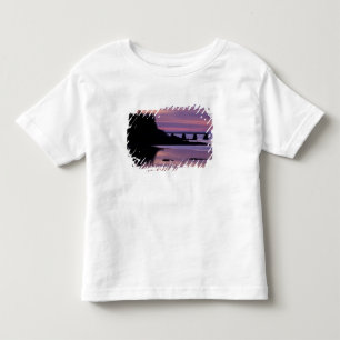 North America, US, ME, Isle Au Haut. Duck Toddler T-shirt