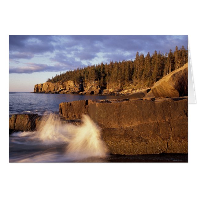 North America, US, ME, The rocky Maine coast. (Front Horizontal)