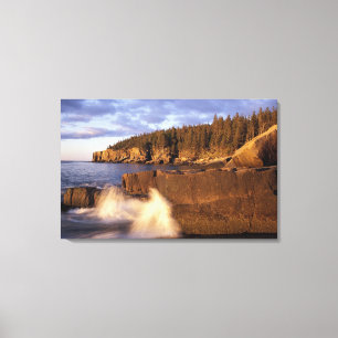 North America, US, ME, The rocky Maine coast. Canvas Print