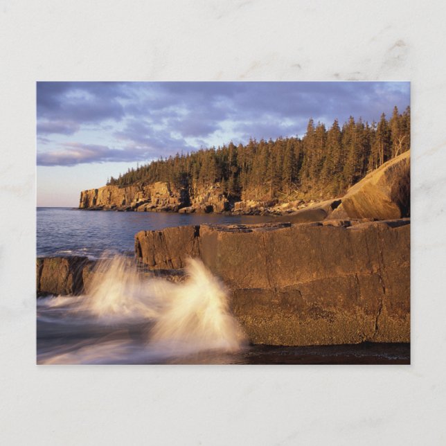 North America, US, ME, The rocky Maine coast. Postcard (Front)