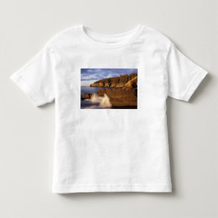 North America, US, ME, The rocky Maine coast. Toddler T-shirt