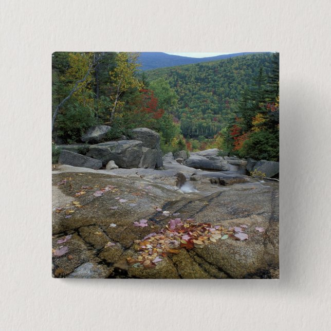 North America, US, NH, Fall foliage in New 2 Inch Square Button (Front)