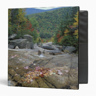North America, US, NH, Fall foliage in New Binder