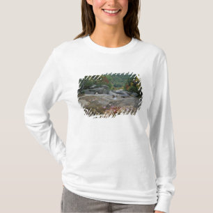 North America, US, NH, Fall foliage in New T-Shirt