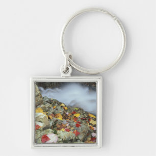 North America, US, NH, Fall in New England. Keychain