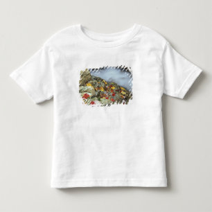 North America, US, NH, Fall in New England. Toddler T-shirt