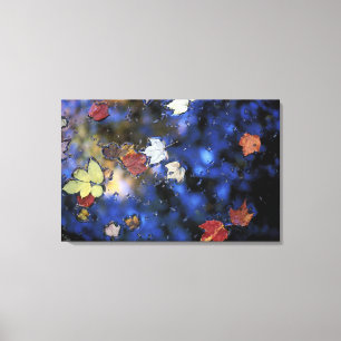 North America, US, NH, Leaves in a pond next Canvas Print