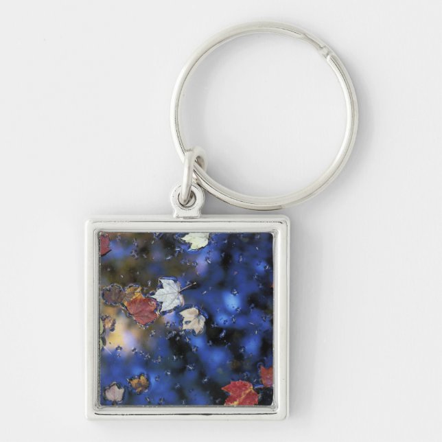 North America, US, NH, Leaves in a pond next Keychain (Front)