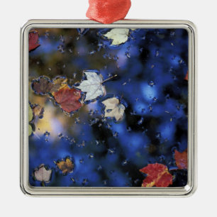 North America, US, NH, Leaves in a pond next Metal Ornament