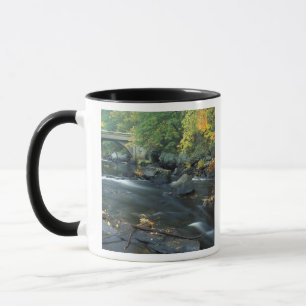 North America, US, NH, The bridge at Packers Mug