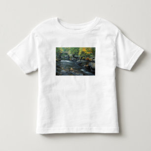 North America, US, NH, The bridge at Packers Toddler T-shirt