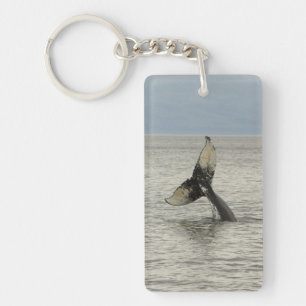North America, USA, AK, Inside Passage. Humpback Keychain