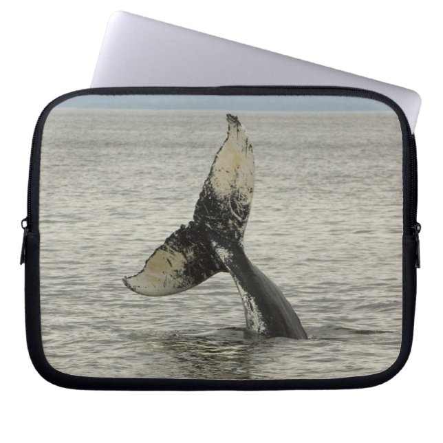 North America, USA, AK, Inside Passage. Humpback Laptop Sleeve (Front)