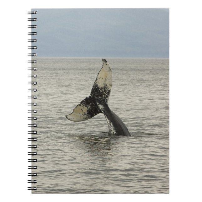 North America, USA, AK, Inside Passage. Humpback Notebook (Front)