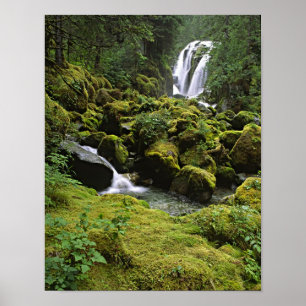 North America, USA, Alaska. A waterfall and Poster