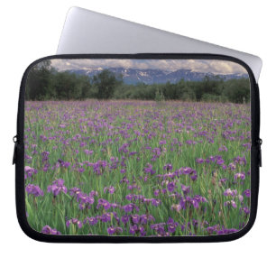 North America, USA, Alaska, Anchorage, Eklutna Laptop Sleeve