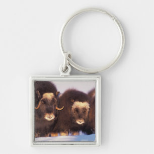 North America, USA, Alaska, Arctic Circle, Keychain