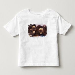 North America, USA, Alaska, Arctic Circle, Toddler T-shirt