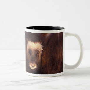 North America, USA, Alaska, Arctic Circle, Two-Tone Coffee Mug