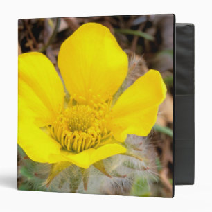 North America, USA, Alaska, Denali National Binder
