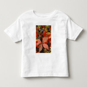 North America, USA, Alaska, Denali NP. Toddler T-shirt