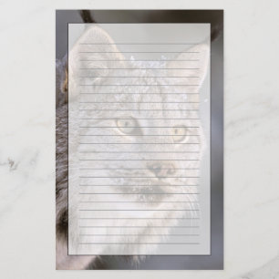 North America, USA, Alaska, Haines. Lynx (Felis 2 Stationery