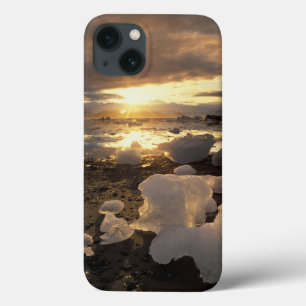 North America, USA, Alaska, Ice Bay, Icescape, iPhone 13 Case
