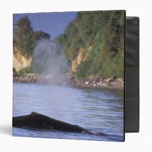 North America, USA, Alaska, Inside Passage. Binder