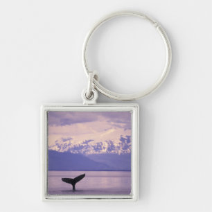 North America, USA, Alaska, Inside Passage. Keychain