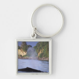 North America, USA, Alaska, Inside Passage. Keychain