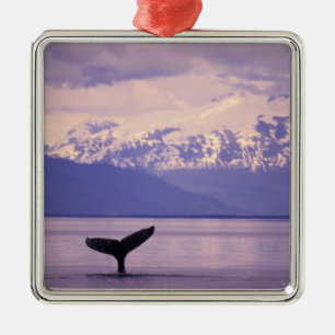 North America, USA, Alaska, Inside Passage. Metal Ornament