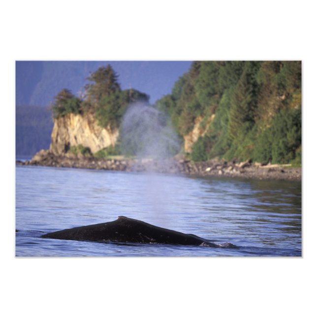 North America, USA, Alaska, Inside Passage. Photo Print (Front)