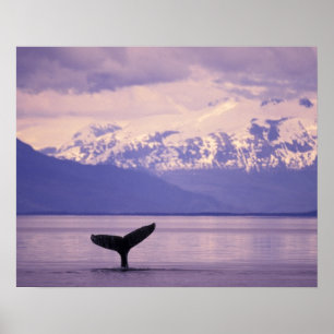 North America, USA, Alaska, Inside Passage. Poster
