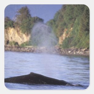 North America, USA, Alaska, Inside Passage. Square Sticker