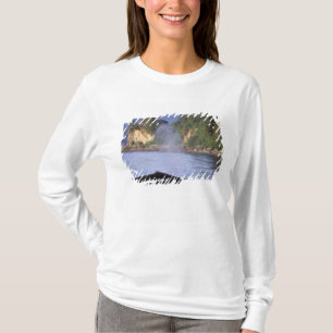 North America, USA, Alaska, Inside Passage. T-Shirt