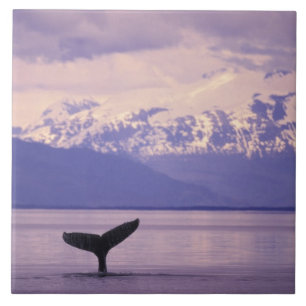North America, USA, Alaska, Inside Passage. Tile