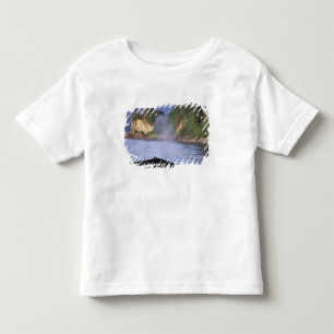North America, USA, Alaska, Inside Passage. Toddler T-shirt