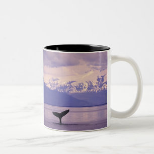North America, USA, Alaska, Inside Passage. Two-Tone Coffee Mug