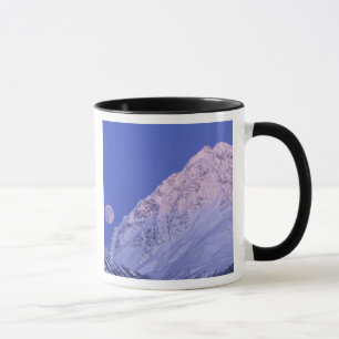 North America, USA, Alaska, Knik River, Mug