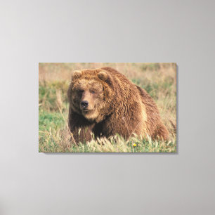 North America, USA, Alaska, Kodiak Island, Canvas Print