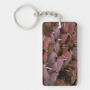 North America, USA, Alaska, Yukon Delta National Keychain