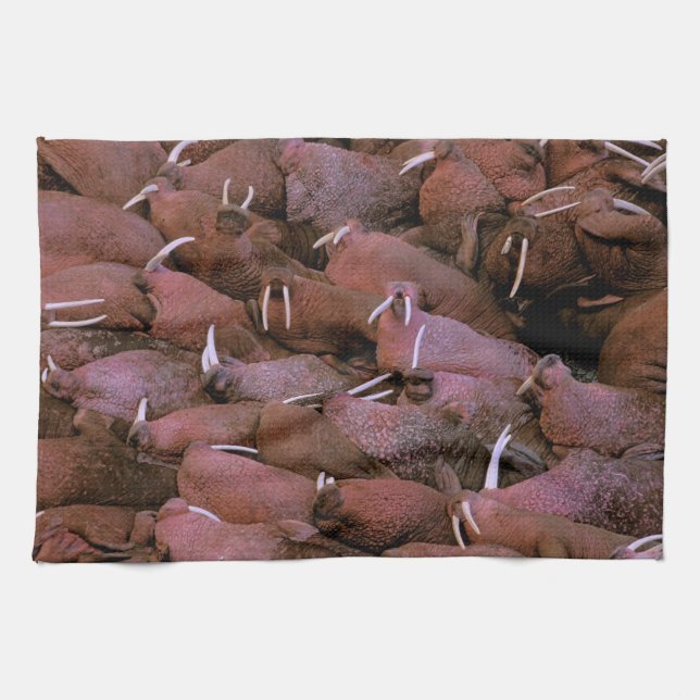 North America, USA, Alaska, Yukon Delta National Kitchen Towel (Horizontal)
