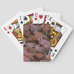 North America, USA, Alaska, Yukon Delta National Playing Cards