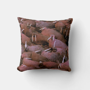 North America, USA, Alaska, Yukon Delta National Throw Pillow